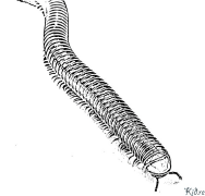 ශතවර්ෂයකි මුද්‍රණය කළ හැකි වර්ණ පිටු